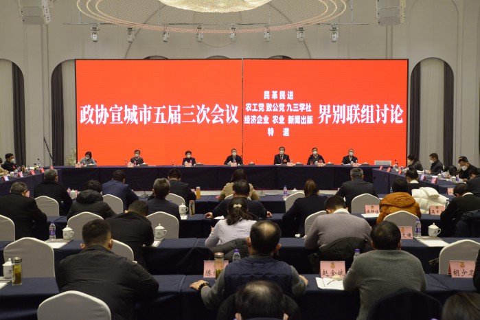 何淳宽在参加市政协五届三次会议界别联组讨论时指出：广泛凝聚共识 推动宣城高质量发展