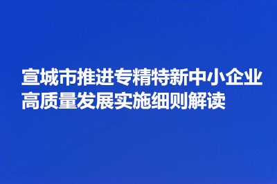 《宣城市推进专精特新中小企业高质量发展实施细则》解读