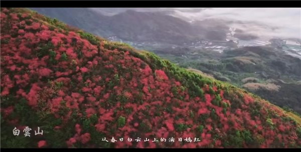 县长推介旌德