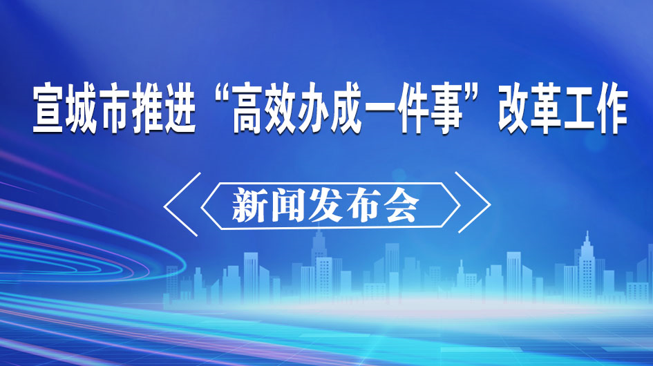 宣城市推进“高效办成一件事”改革工作