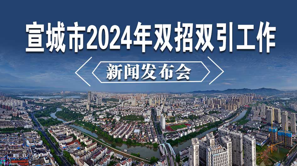 宣城市2024年双招双引工作