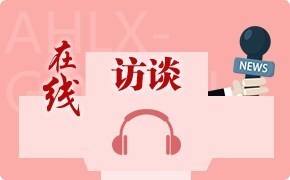 绩溪县审计局2025年度审计项目计划在线访谈